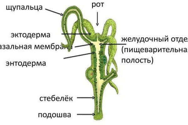 Онион ссылки для тор браузера