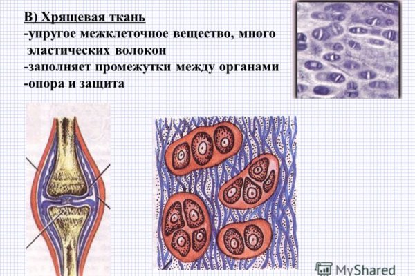 Даркнет онион ссылки